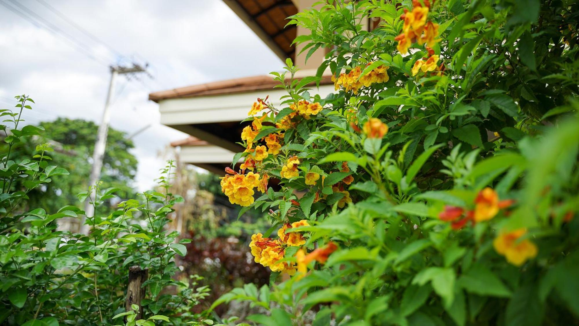 Laph Kham House Aparthotel Chiang Mai Exterior foto