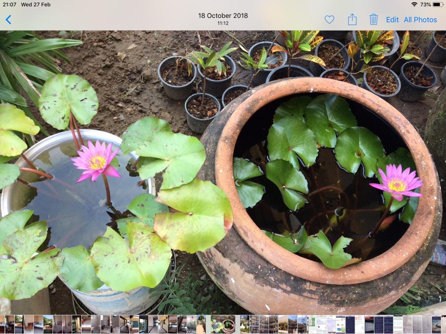 Laph Kham House Aparthotel Chiang Mai Exterior foto